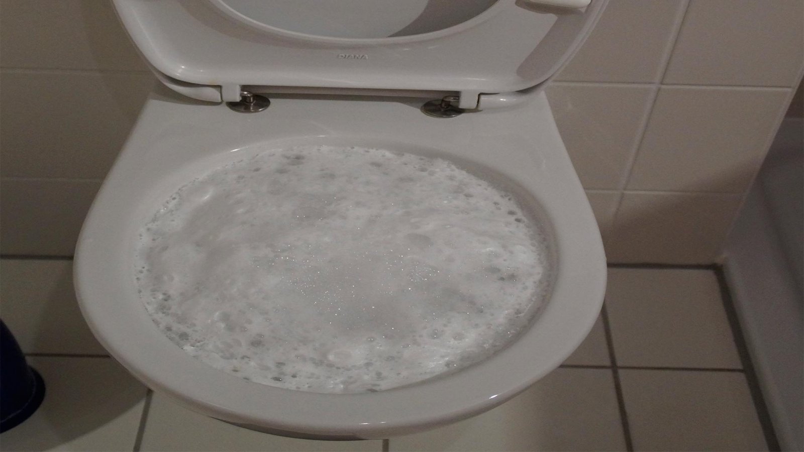 Inodoro con un gran Atasco