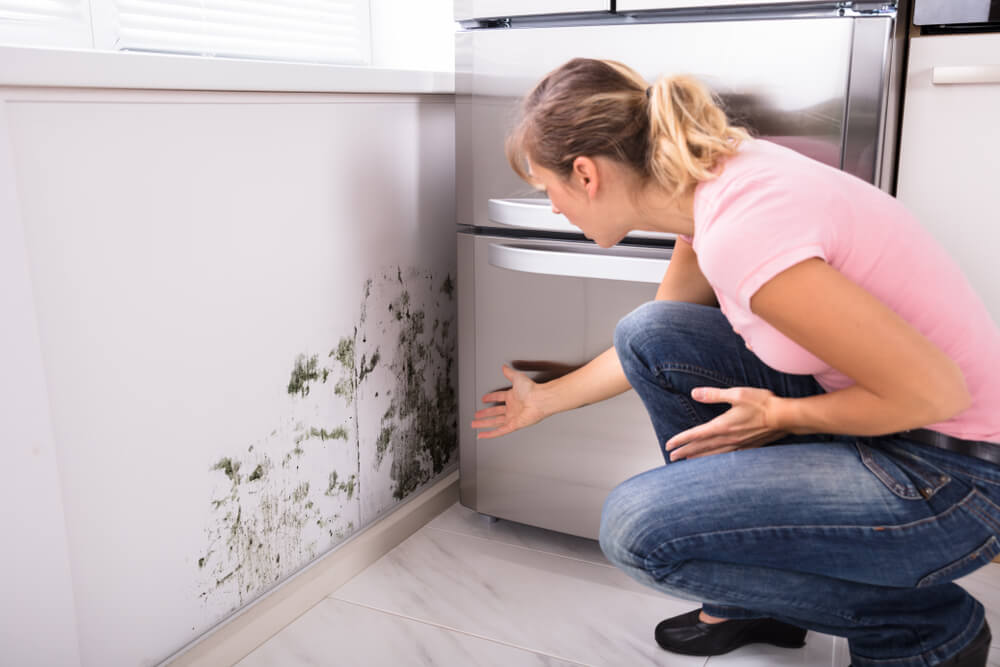 Cómo Eliminar el Olor a Humedad de una Habitación: Causas, Tratamiento y Prevención